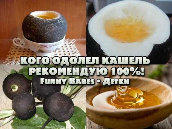 Рецепты редьки с сахаром от кашля