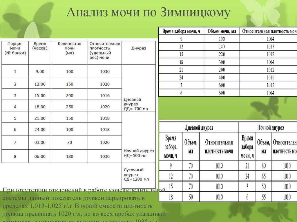 Анализ мочи по зимницкому: как правильно собрать и что показывают результаты