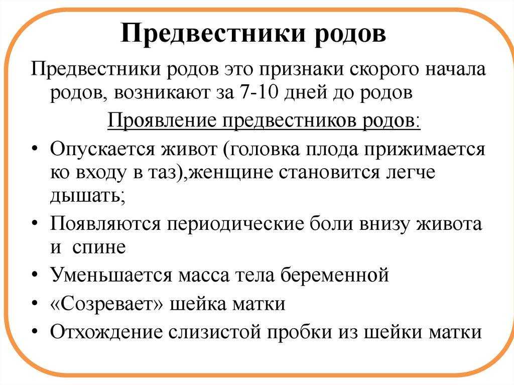 Если пробка отошла а схваток нет что делать