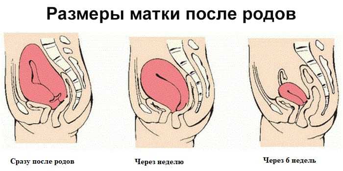 Восстановление после родов. что происходит с организмом после родов неделя за неделей?