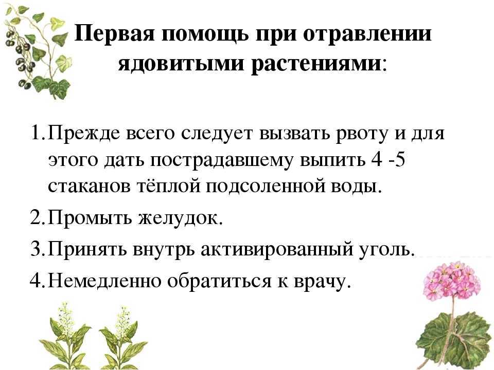 Как оказать первую помощь при разных видах отравлений? – медицинский центр «панацея» – частная многопрофильная клиника для взрослых и детей