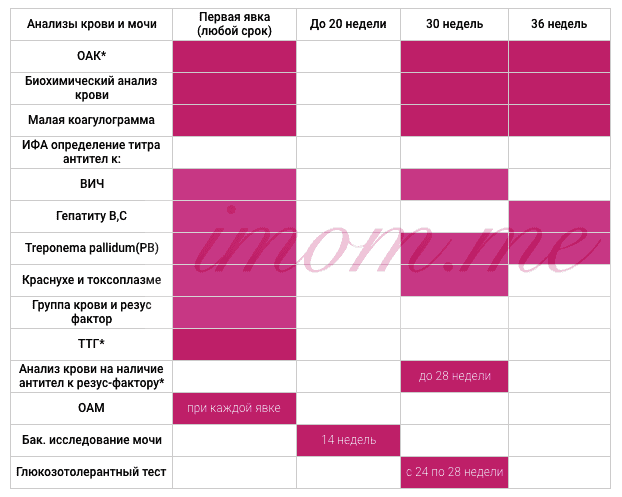 Анализы и обследования в период беременности