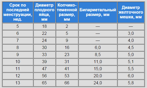 Плодное яйцо на узи: размеры свд по неделям