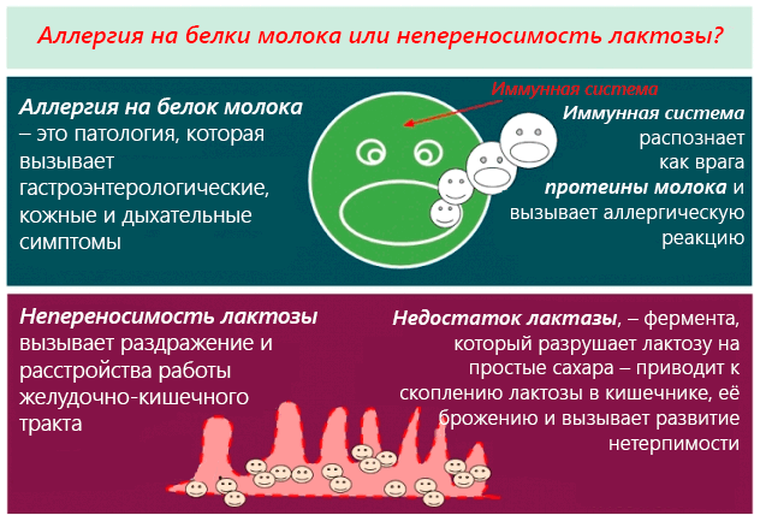 Аллергия на протеин - семьянск.рф