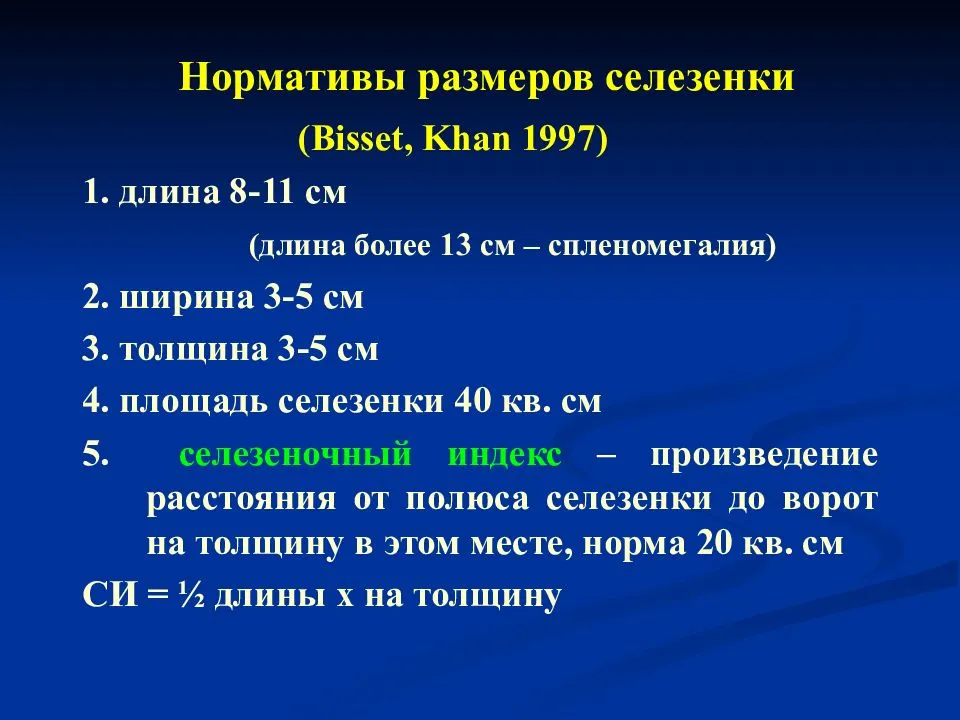 Узи селезенки — важные особенности обследования