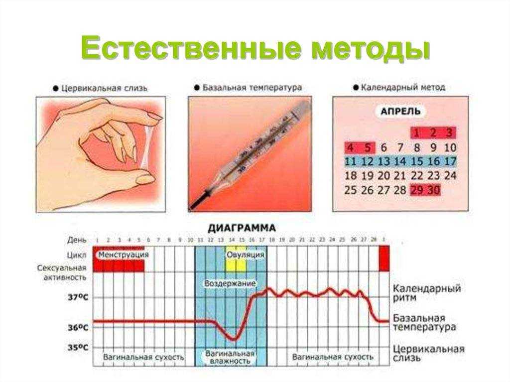 Выход яйцеклетки из яичника (левого или правого) - в каком чаще происходит овуляция