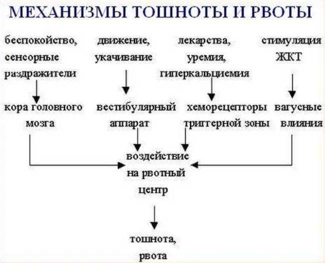 Тошнота после еды: основные причины и лечение