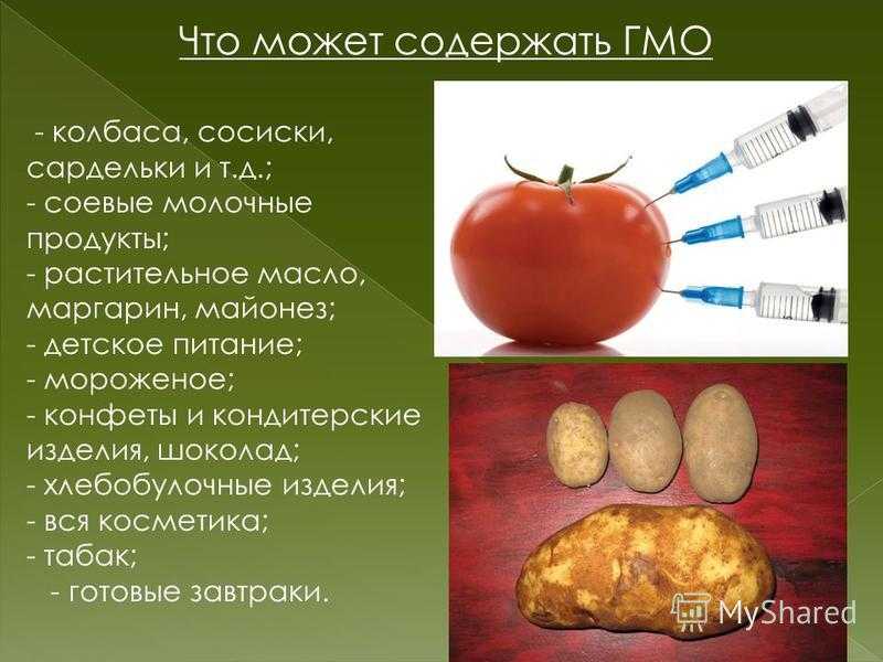 Вредны ли генетически модифицированные продукты питания | food and health