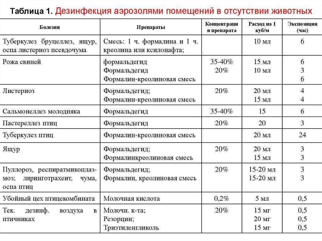 Профилактика энтеробиоза: как предотвратить заражение в домашних условиях и в детском саду