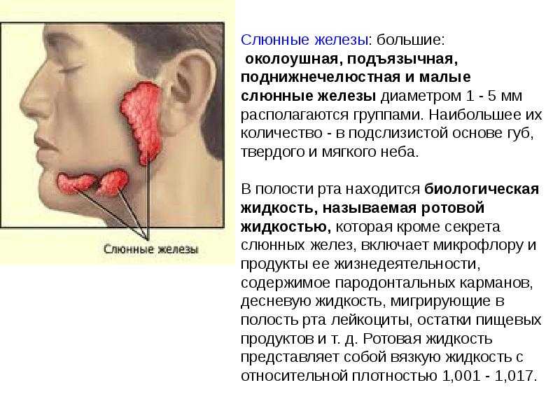 Воспаление околоушной слюнной железы-паротит
