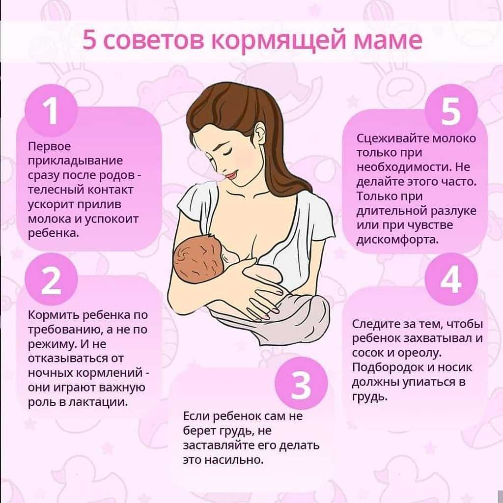 Можно ли вафли при грудном вскармливании в первый месяц после родов, в 2 месяца, в 3 месяца: какие можно - белые, сливочные, шоколадные, на фруктозе, арахисовые, вафельные хлебцы, трубочки, венские