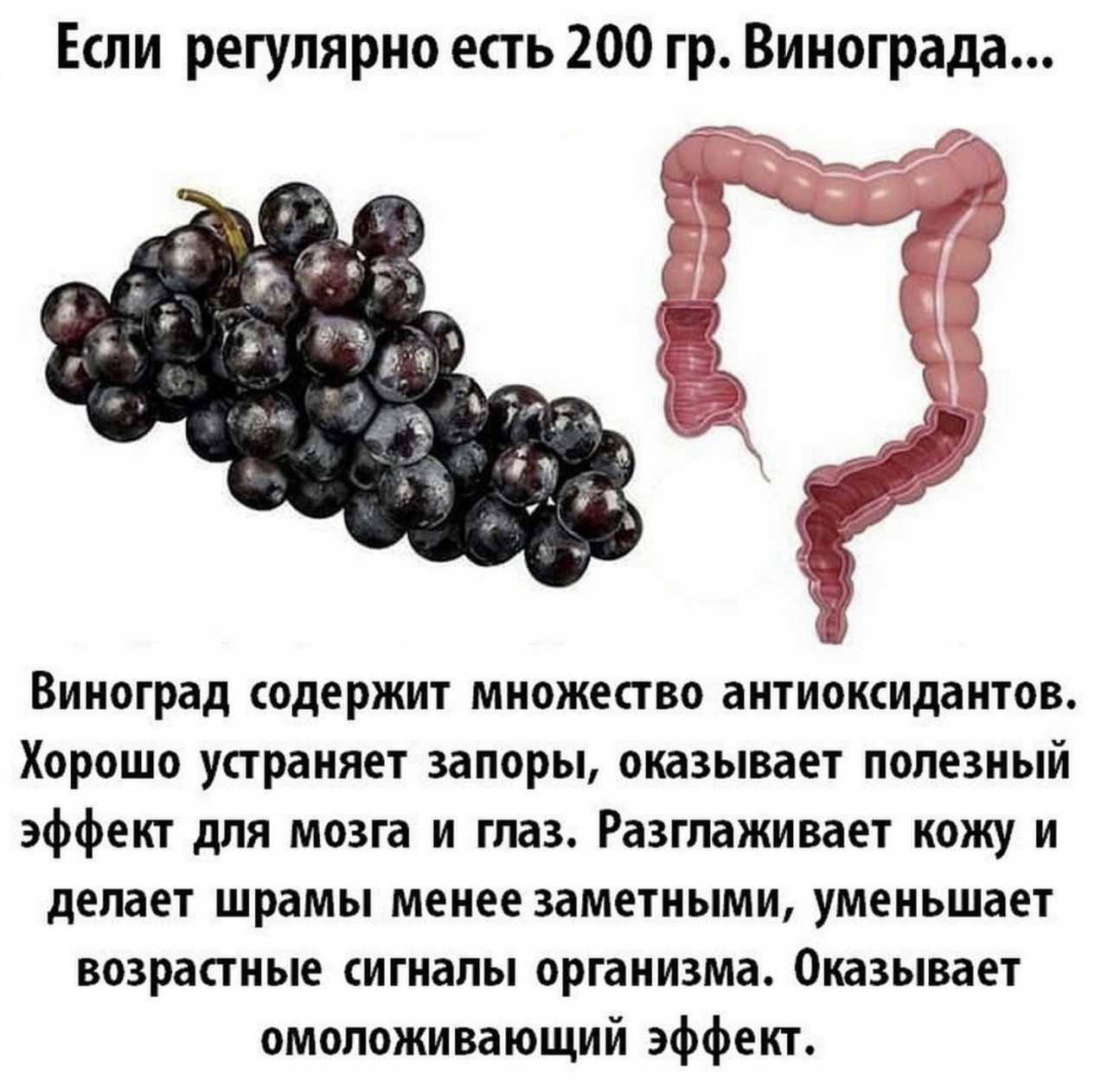 Чего не хватает в организме, если хочется. | здоровое питание