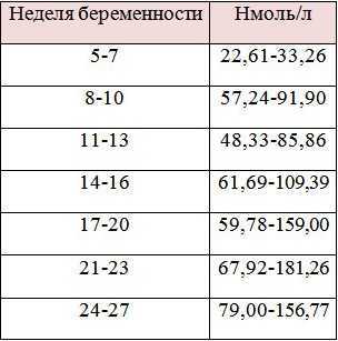 Прогестерон — роль в организме, нормы и избыток