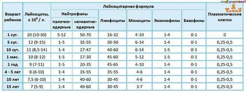 Лимфоциты повышены у ребенка: о чем это говорит и что нужно делать?
