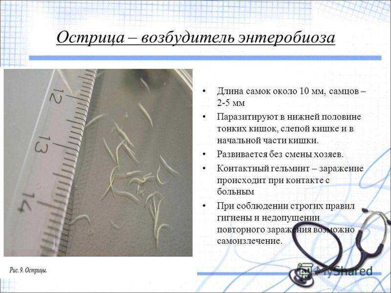 Что такое энтеробиоз