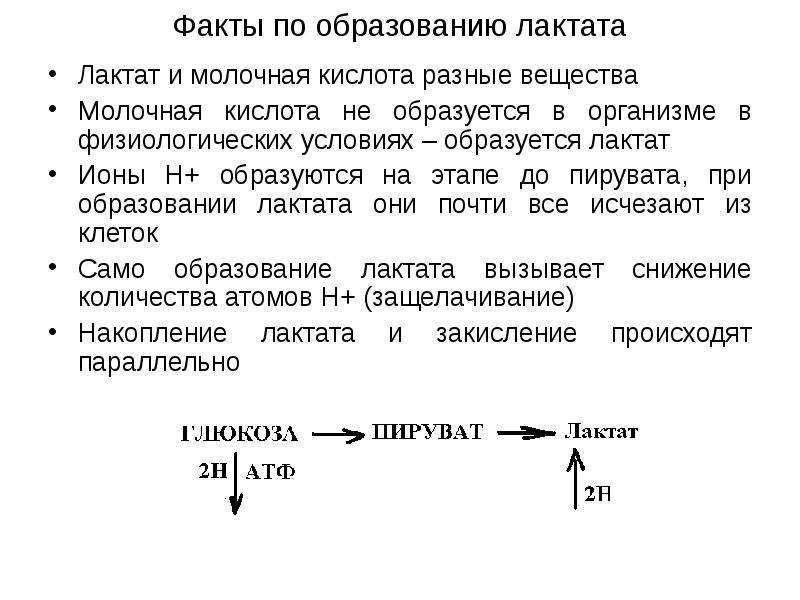 Все о молочной кислоте в мышцах – симптомы и выведение  Все о молочной кислоте в мышцах – симптомы и выведение  А вы знаете, что молочная кислота в мышцах
