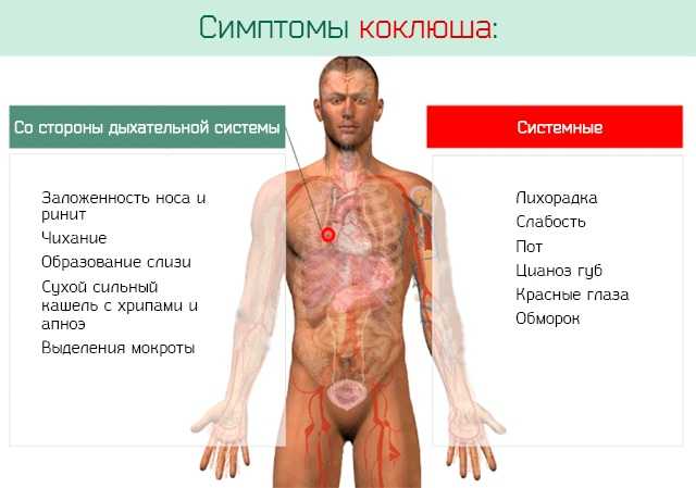 Коклюш: что это, симптомы у детей и взрослых, лечение, причины и последствия