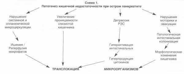 Официальный сайт валерия николаевича фокина