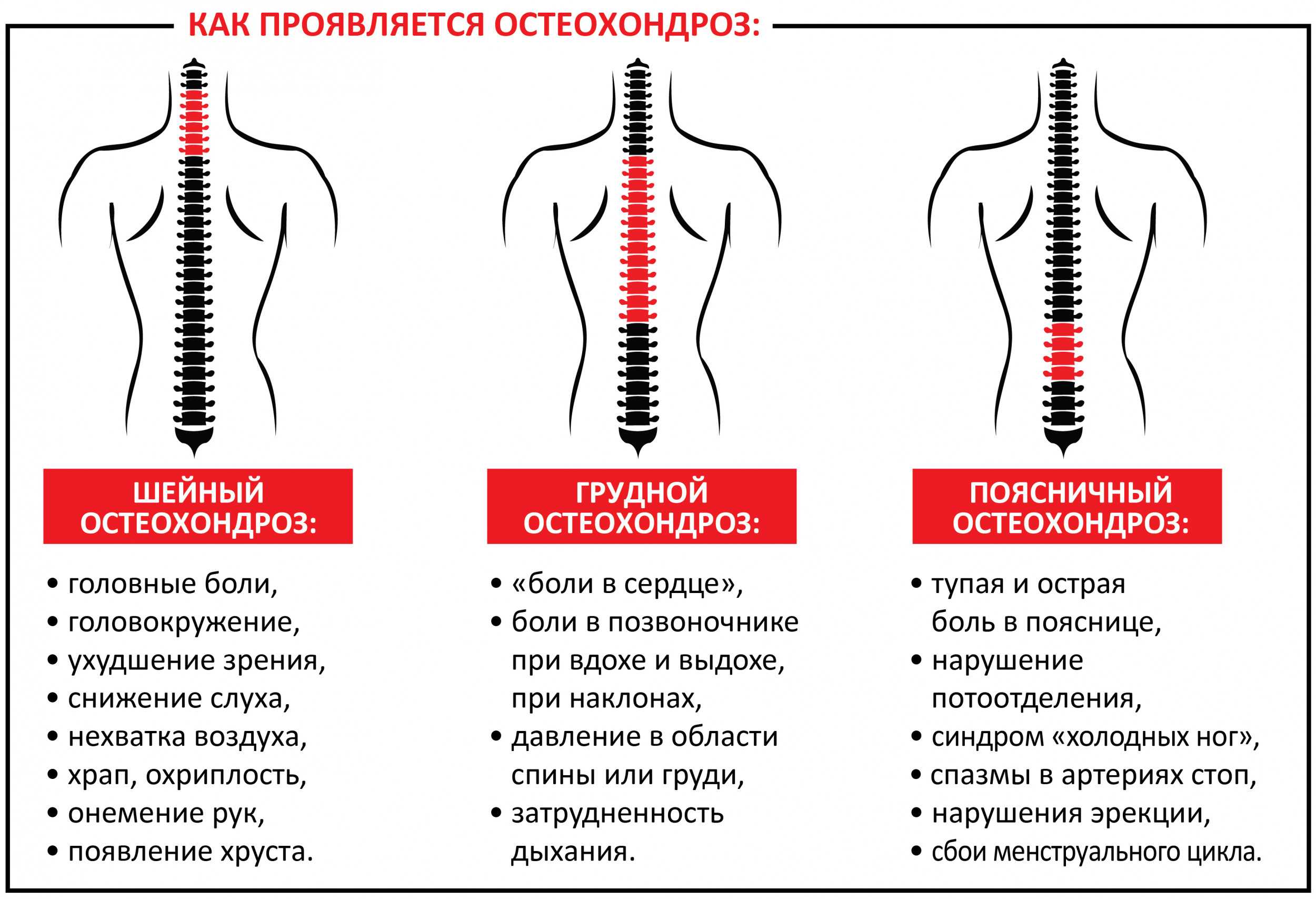 Перелом копчика: симптомы и последствия у женщин и мужчин