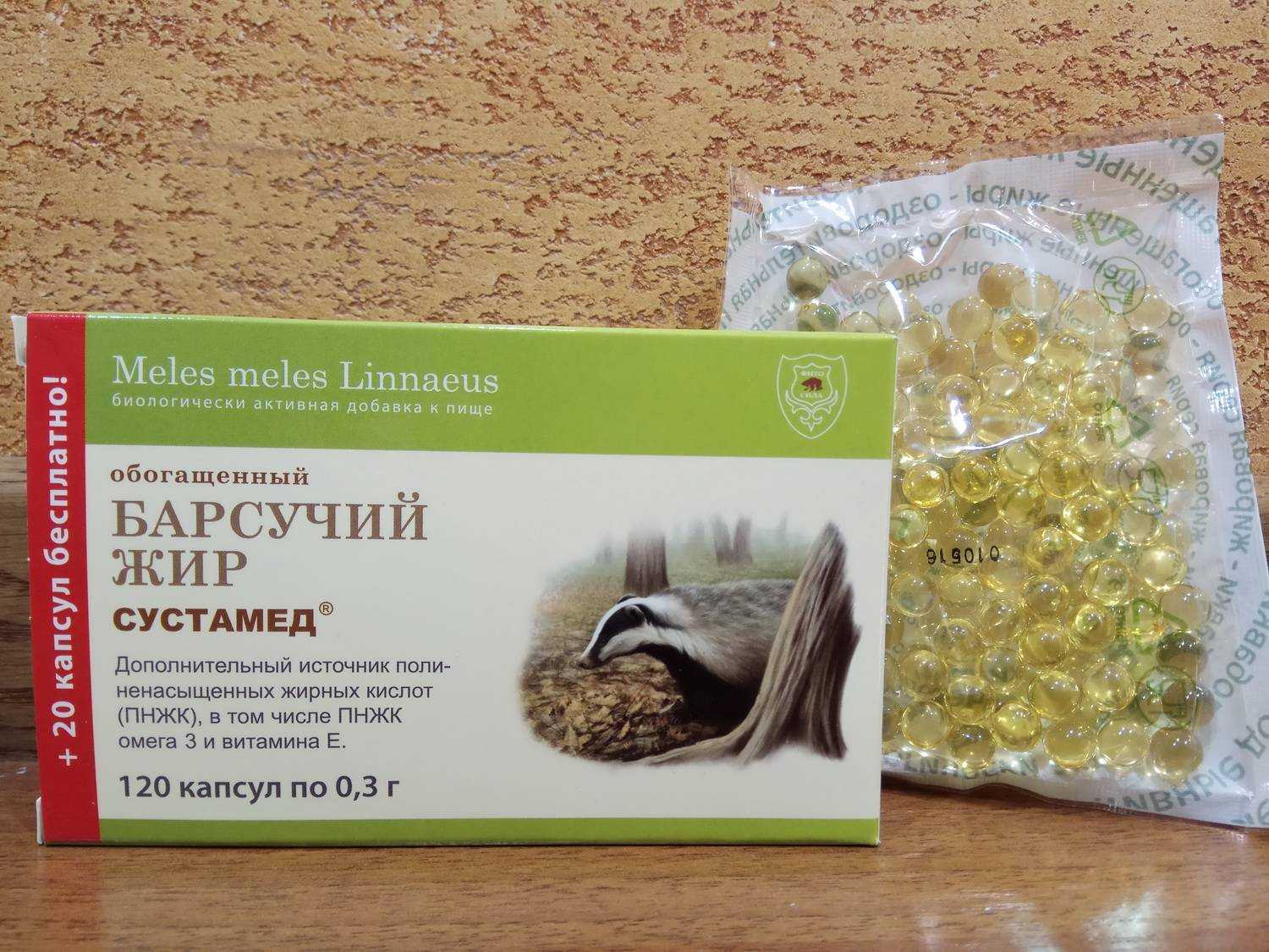 Барсучий жир при кашле — полезные свойства, как принимать внутрь или делать растирания