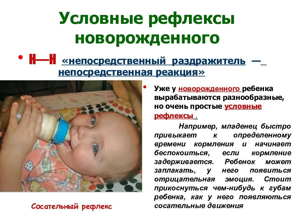 Рефлексы у новорожденных: врожденные, условные, безусловные