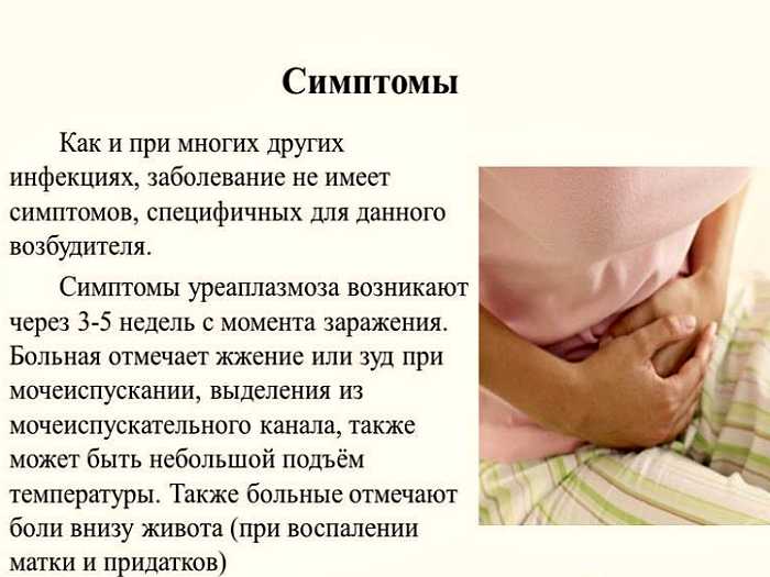 Исследование мазка на наличие уреаплазмы у женщин  Мазок на уреаплазму у женщины и его расшифровка  Уреаплазмы относят к условно-патогенной микрофлоре и при