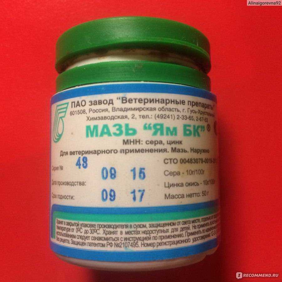 Мазь ям бк для кошек: состав и форма выпуска, фармакологическое действие и инструкция по применению