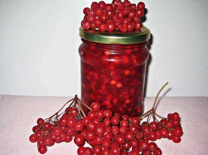 Калина с сахаром на зиму без варки: 7 лучших рецептов заготовок