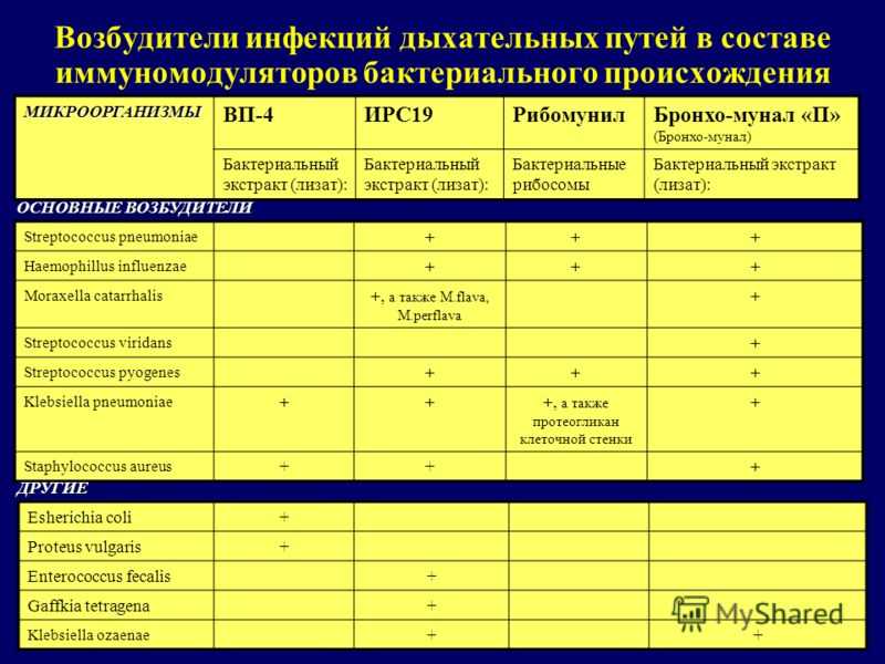 Инфекционные заболевания дыхательных путей. насколько они заразны?