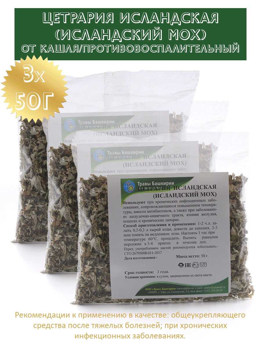 Исландский мох. лечебные свойства. применение. рецепты