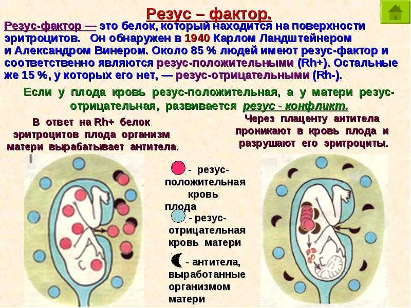 Как определяется группа крови