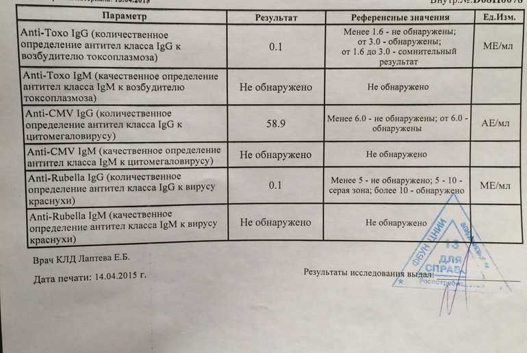 Повышение иммуноглобулина е- повод бить тревогу