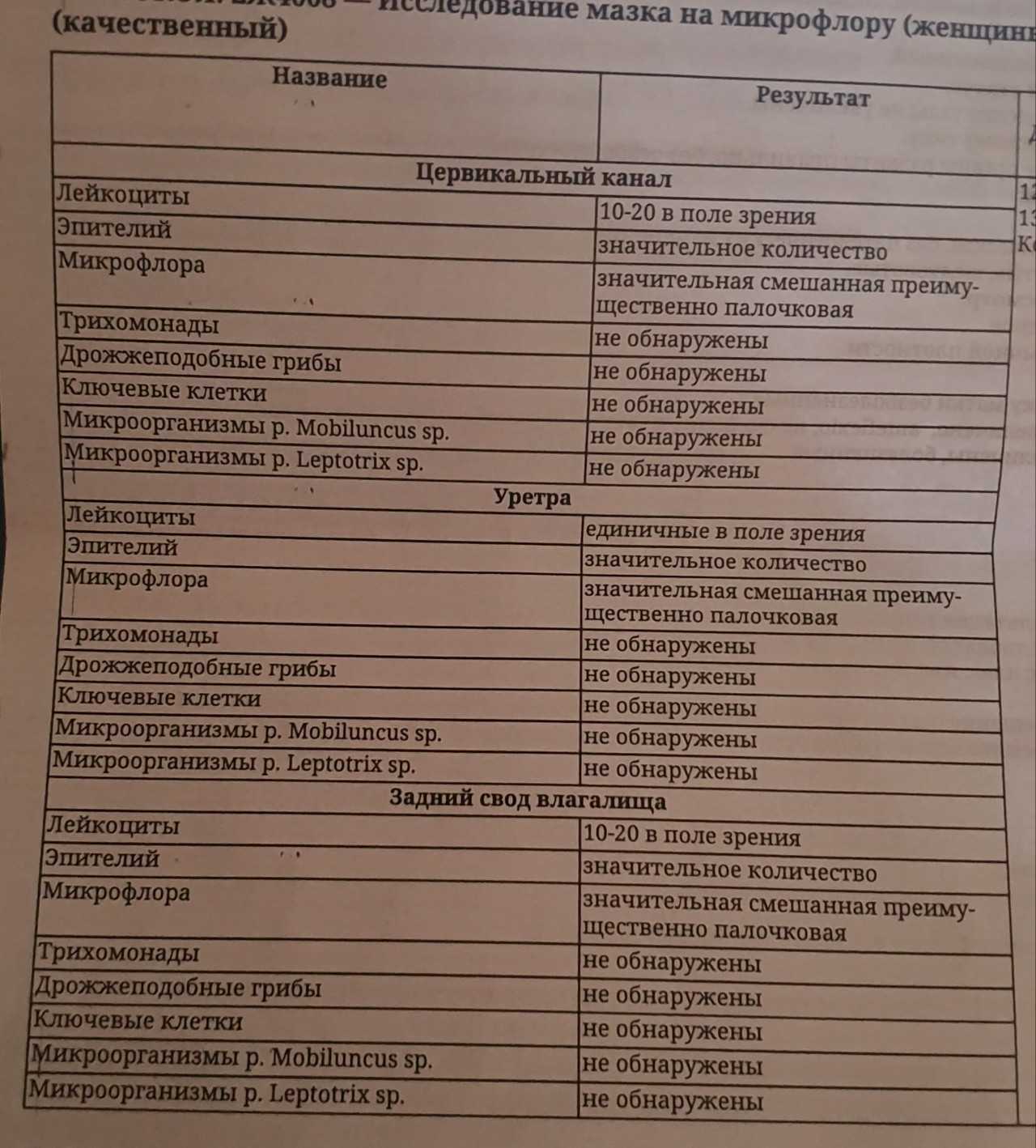 Коккобациллярная флора в мазке: что это такое и каковы причины ее появления?