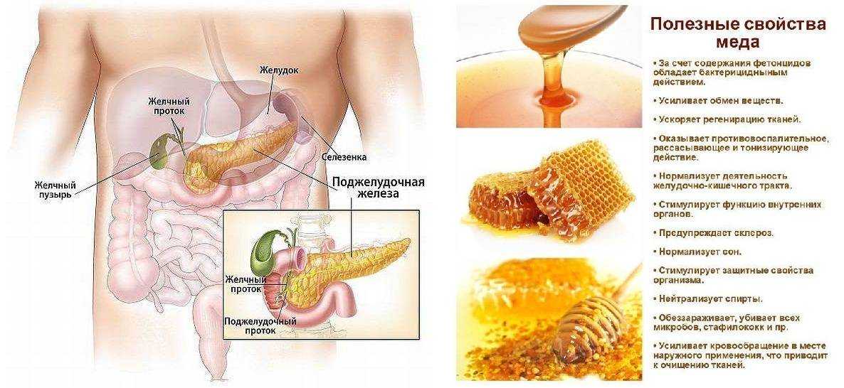 Влияние кофе на печень и поджелудочную железу — все о печени