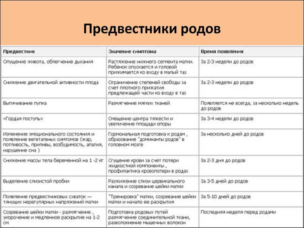 Как начинаются схватки у первородящих: на что они похожи и сколько могут длиться, ощущения, как определить,интервал схваток перед родами, интервалы между схватками,какие бывают.