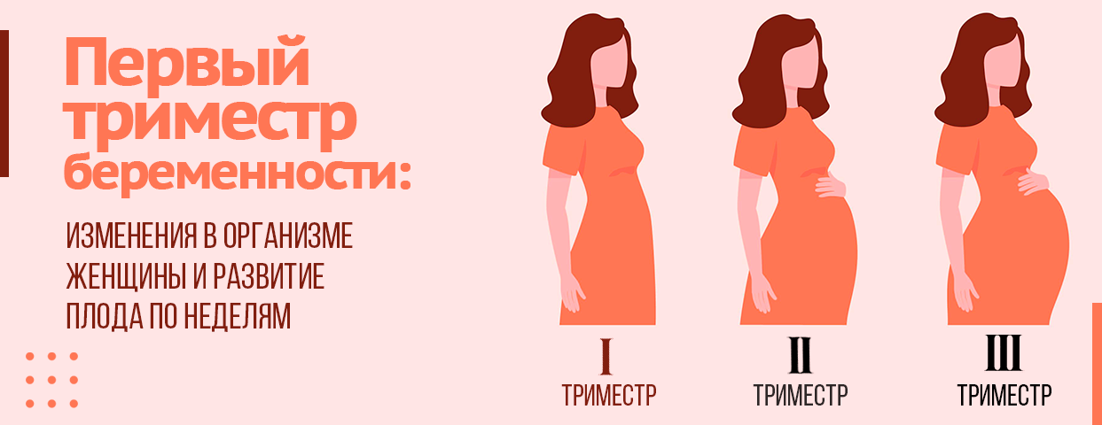 Можно ли в первом триместре ездить на поезде