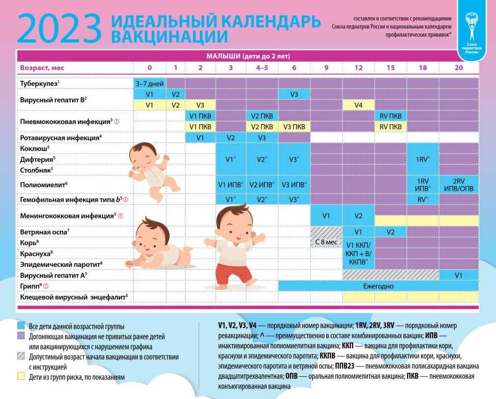 Прививка rv2 адс м