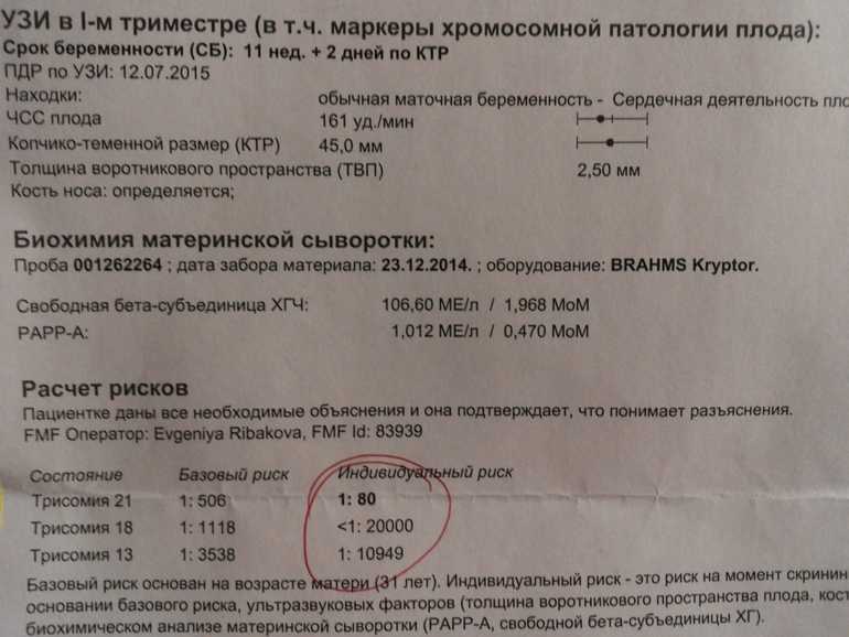 7 неделя беременности (1-й триместр) – мама и малыш