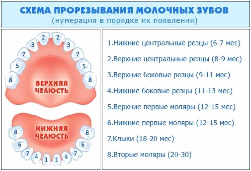 Ателектаз легких: причины, симптомы, лечение