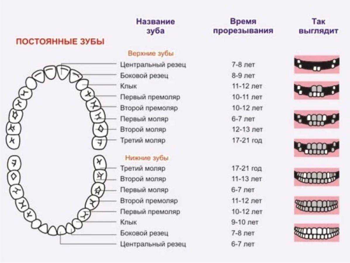 Можно ли делать акдс при прорезывании зубов и насморке деткам до года