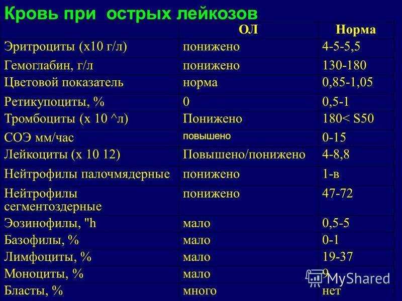 Что такое лейкемия и лейкоз? причины. диагностика и лечение.!