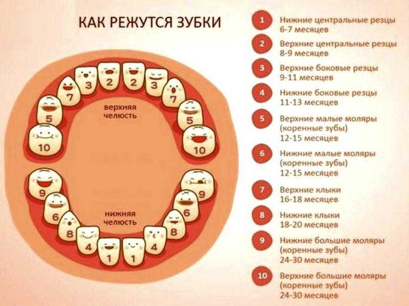 Пентаксим во время прорезывания зубов. можно ли проводить вакцинацию, когда лезут зубы. когда от прививки стоит отказаться
