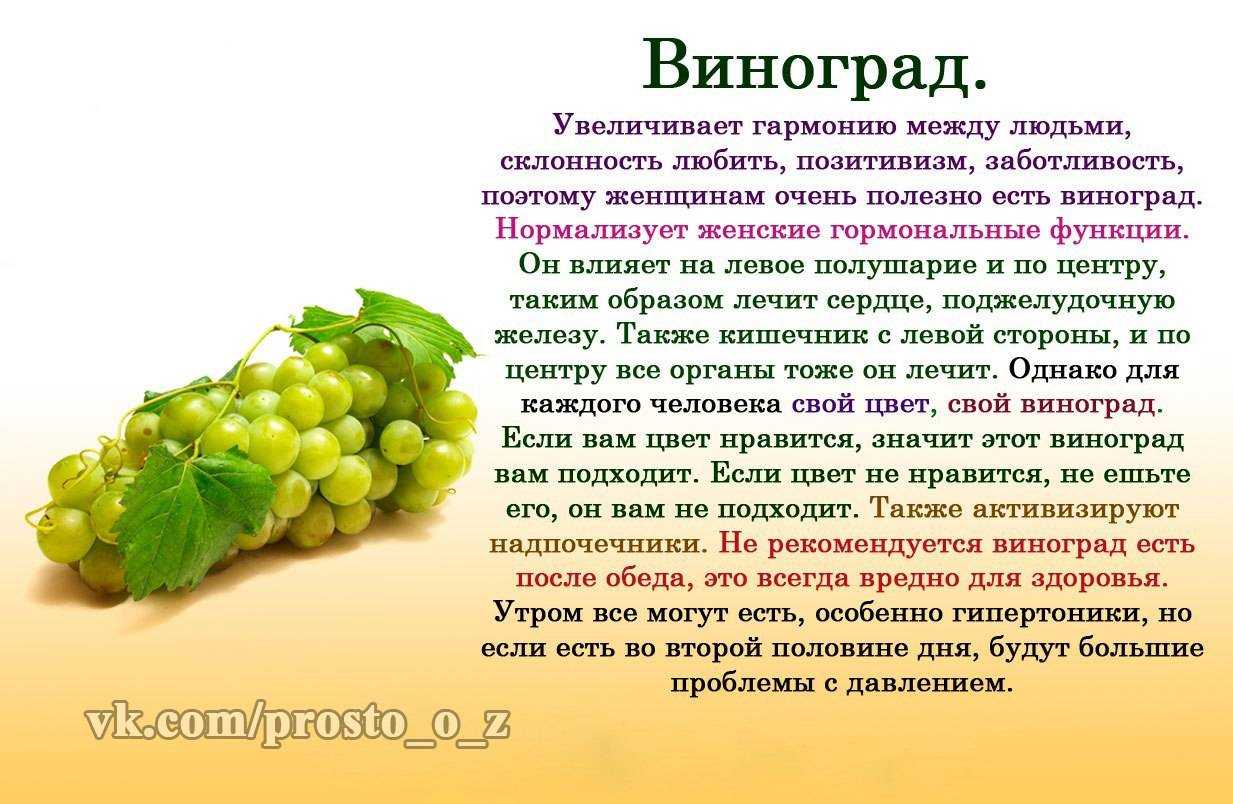Хочется винограда чего не хватает в организме. что в них входит