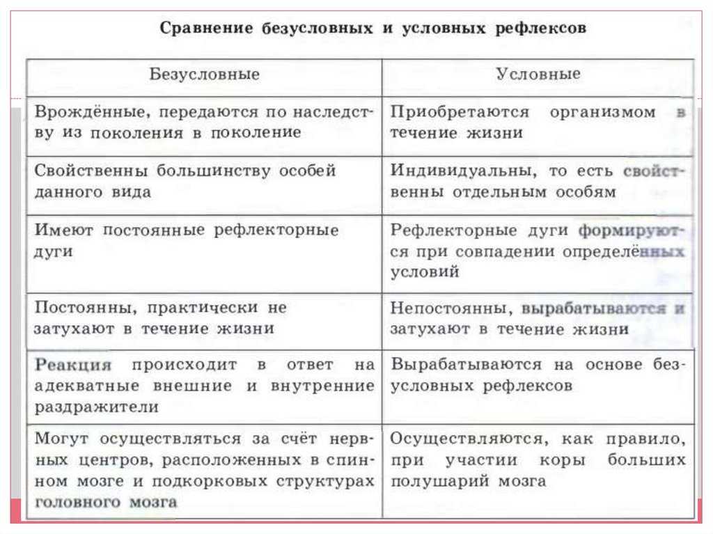 Как образуются рефлексы у животных: примеры и виды