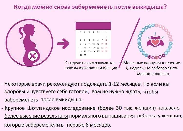 Рентген и планирование беременности - нужно или нет