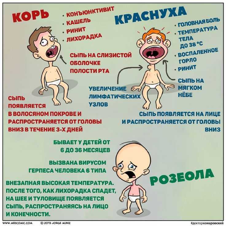 Как выглядит краснуха у детей: симптомы заболевания с фото, принципы лечения (2 видео) | 📚 а ты знал? 🧠