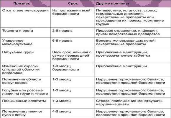 Болит грудь при беременности: причины, что делать