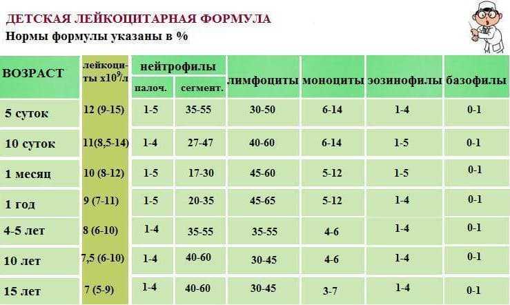 Стоит ли настораживаться родителям при лимфоцитозе у ребенка  Стоит ли настораживаться родителям при лимфоцитозе у ребенка  Лимфоцитоз у ребенка далеко не