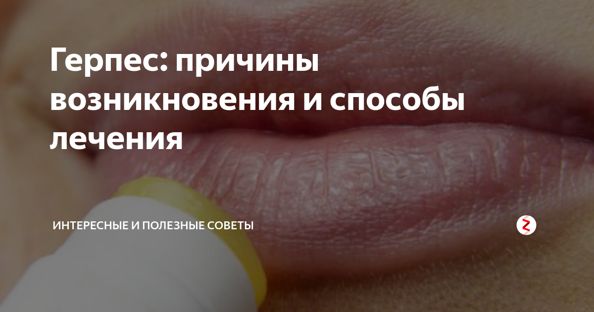 Болезни, передающиеся половым путем | учебник 11 класс латчук в.н.