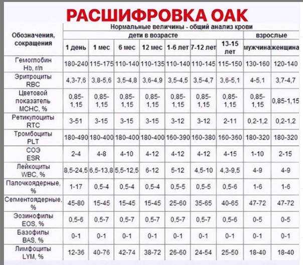 Биохимический анализ крови (биохимия): нормы, расшифровка